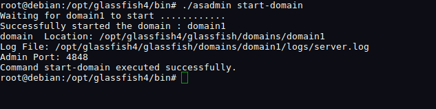  saída do comando `./asadmin start-domain`